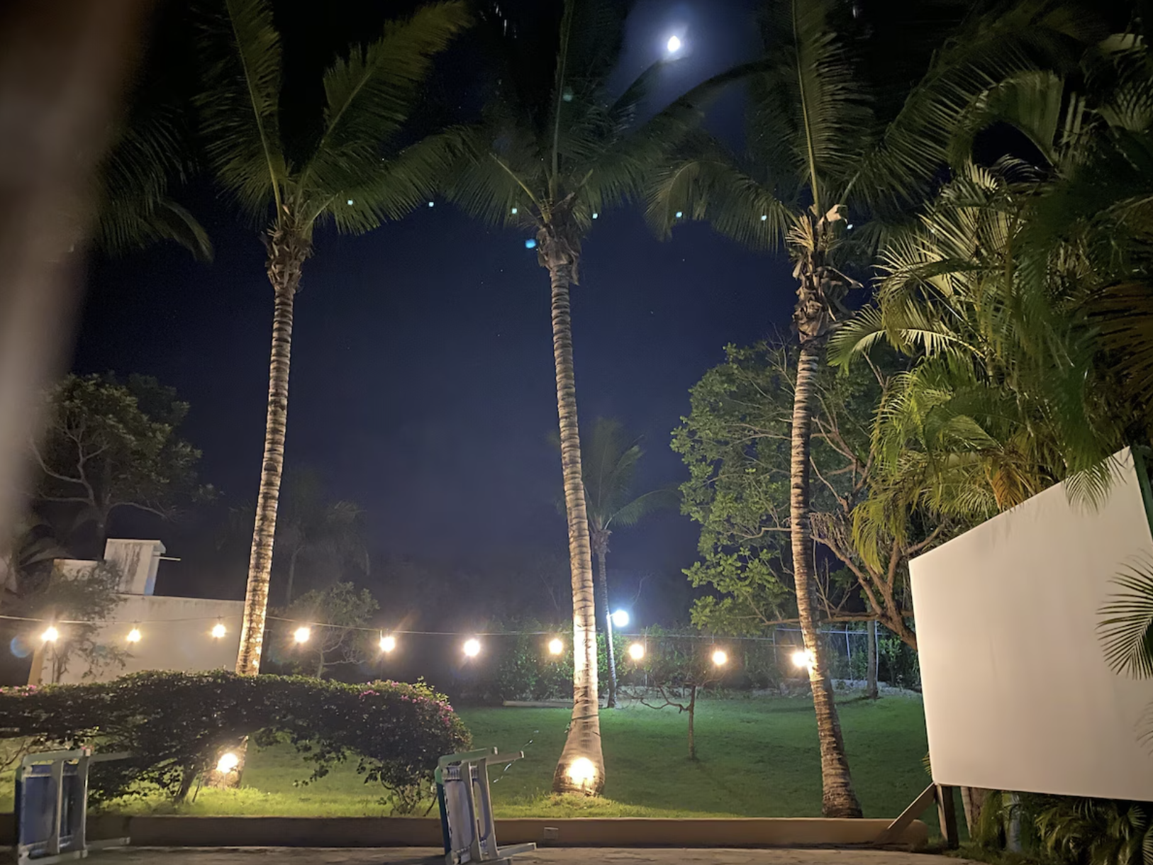 Garden Lights at Night