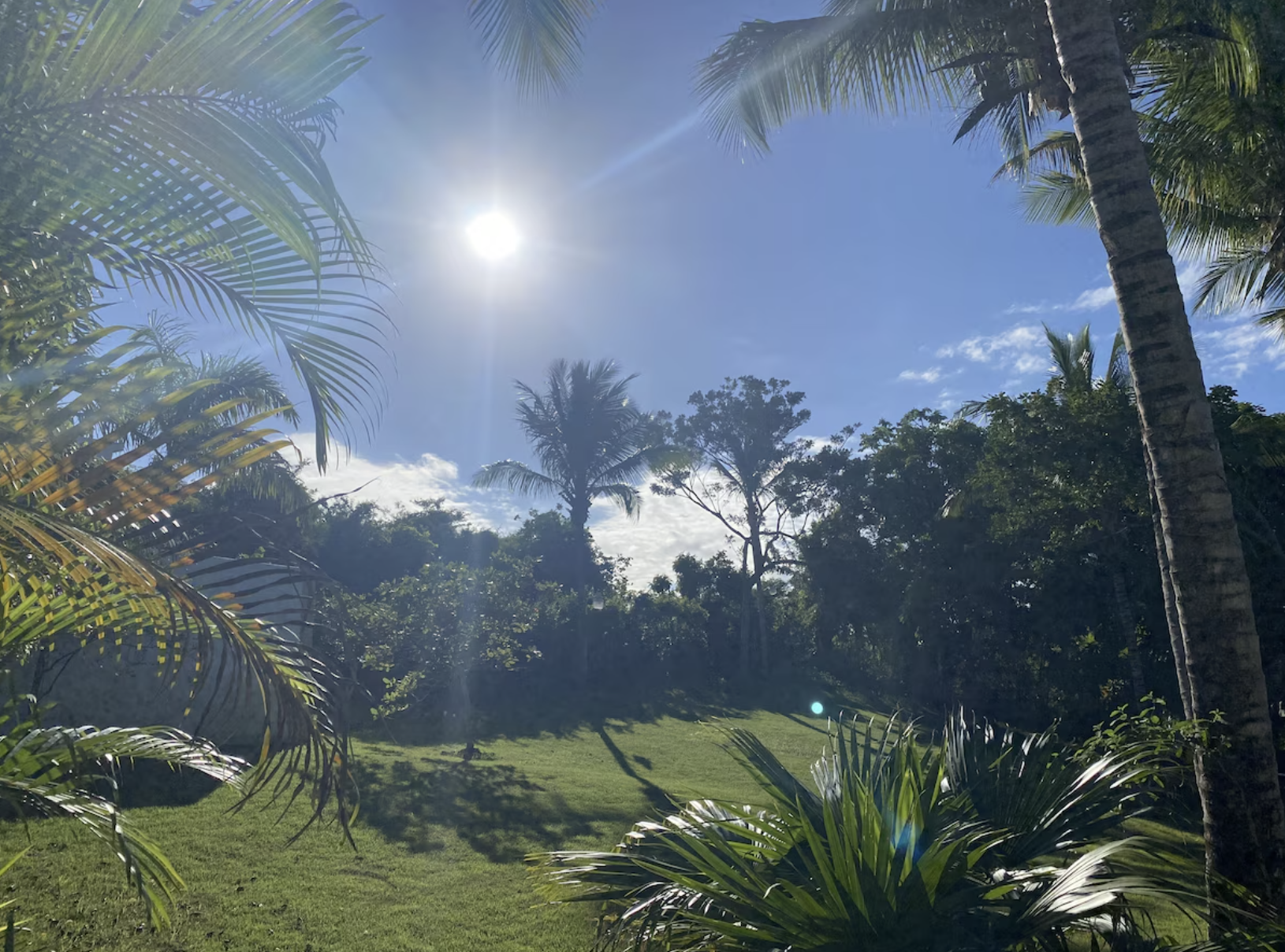 Tropical Gardens