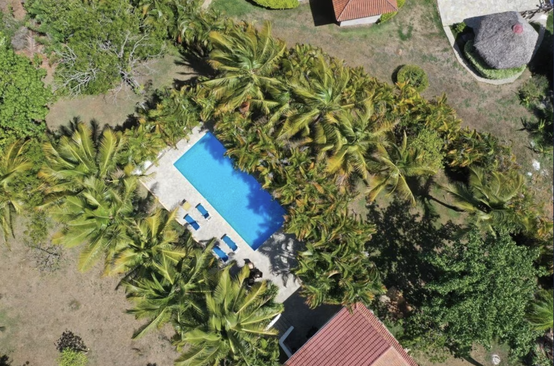 Aerial View — Pool & Grounds